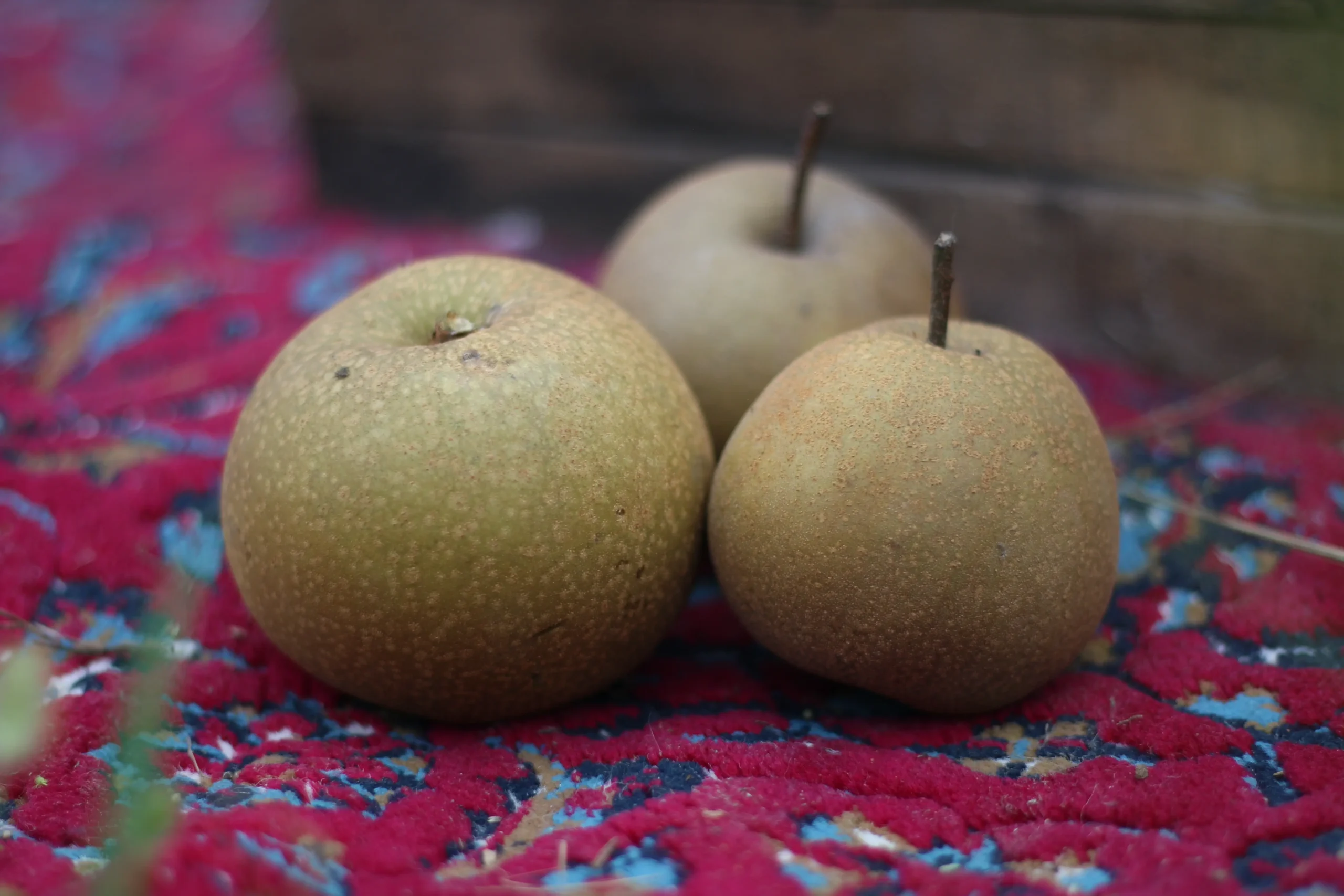 میوه تازه گلابی سیبی (پرتقالی) نوبرانه - تصویر 3