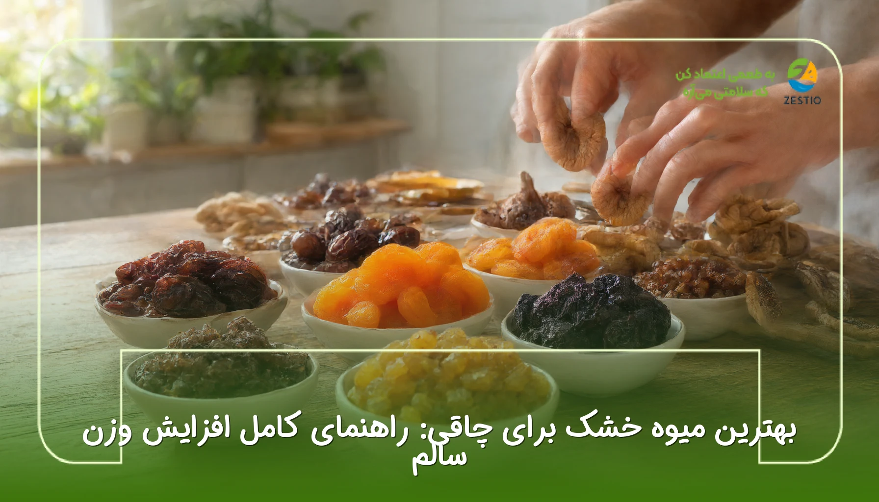 بهترین میوه خشک برای چاقی: راهنمای کامل افزایش وزن سالم
