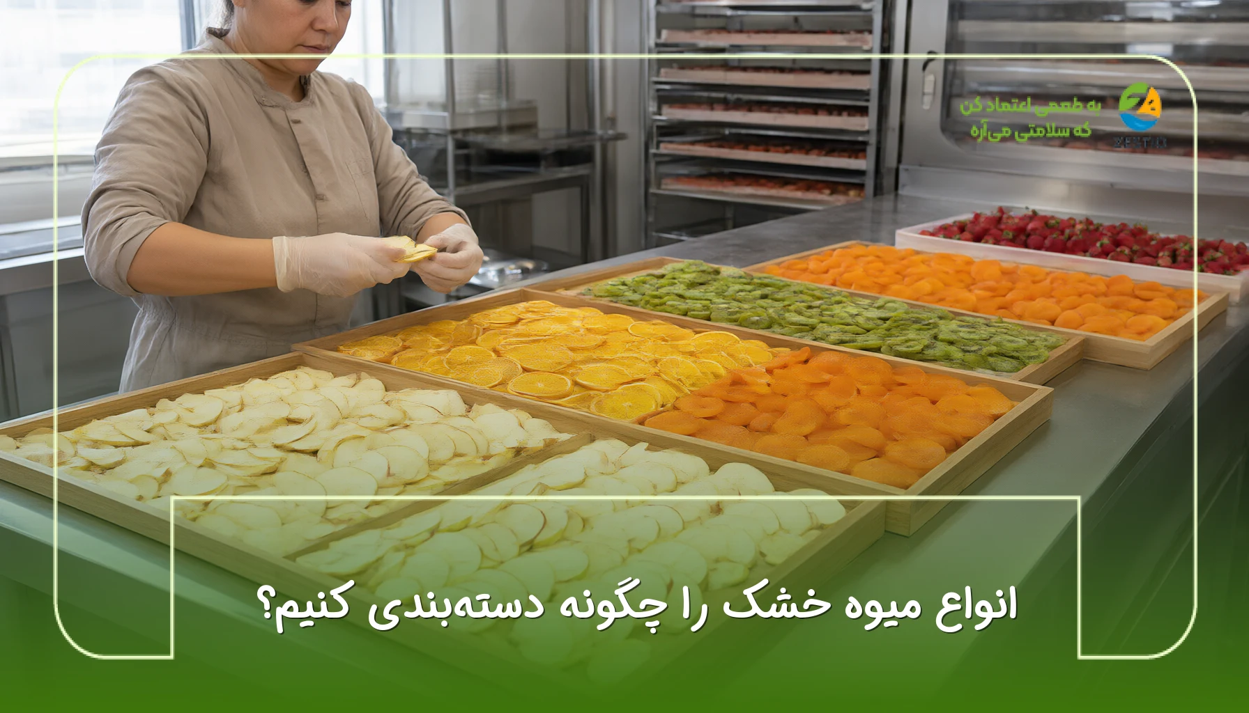 انواع میوه خشک را چگونه دستهبندی کنیم؟