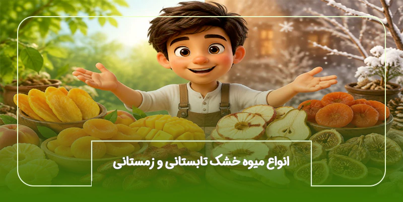 انواع میوه خشک تابستانی و زمستانی