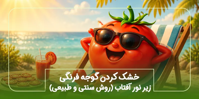 خشک کردن گوجه فرنگی زیر نور آفتاب (روش سنتی و طبیعی)