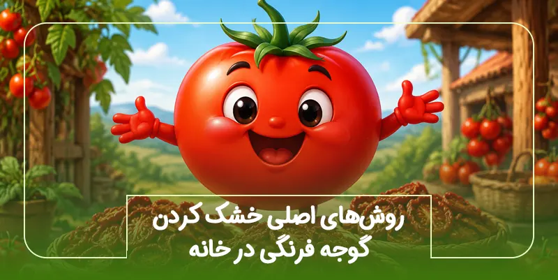روش_های اصلی خشک کردن گوجه فرنگی در خانه