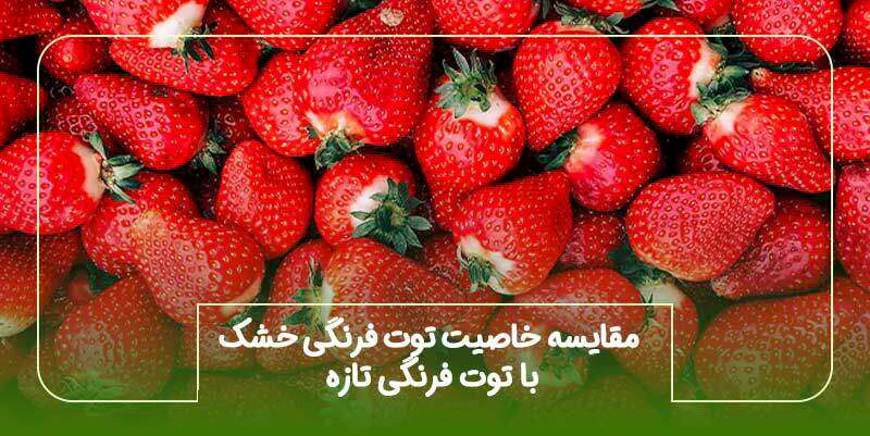 مقایسه خاصیت توت فرنگی خشک با توت فرنگی تازه