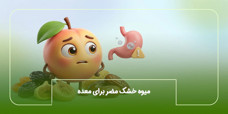 میوه خشک مضر برای معده