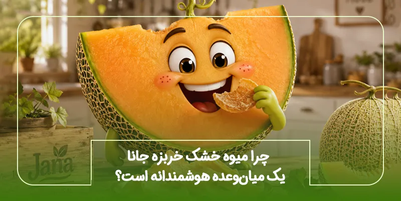 چرا میوه خشک خربزه جانا یک میان_وعده هوشمندانه است؟