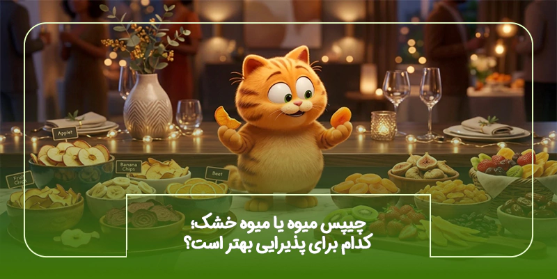 چیپس میوه یا میوه خشک؛ کدام برای پذیرایی بهتر است؟